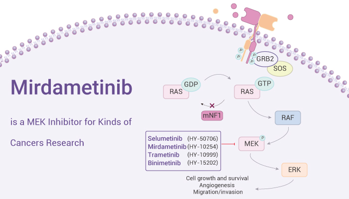 Mirdametinib-is-an-Orally-Active-MEK-Inhibitor-for-Kinds-of-Cancers-Research-20240913